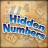 icon Hidden Numbers 7.1