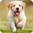 icon 7Fon Dogs 6.0.76