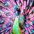 icon Peacock Wings Live Wallpaper 2