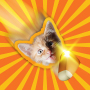 icon Candy Cat