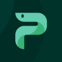 icon Python Master
