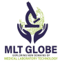 icon MLT Globe