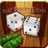 icon Backgammon 1.2