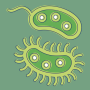 icon Bacteria