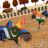 icon Chicken Fighting Game 1.4
