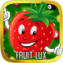 icon Fruit Lux