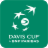 icon Davis Cup 4.0