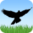 icon Bird Sounds 2.0.0