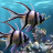 icon alpha.aquarium.hd.livewallpaper 2.30