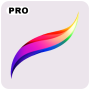 icon Procreate Pro