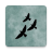 icon Third Bird 1.0