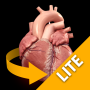 icon Heart 3D Anatomy Lite for oppo A57