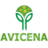 icon Avicena Magazine 11.1.3