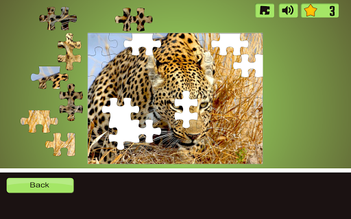 Wild Cats Puzzles