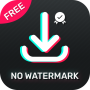 icon Video Downloader for TikTok - Tikmate Free