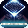 icon Database Management Systems