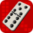 icon Domino 13.0.3