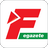 icon eFanatik 17.2.2