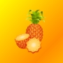icon PineappleMeet