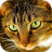 icon Cat Puzzles 2.0.16