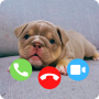 icon Dog Fake Call Prank Video Game