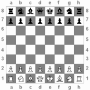 icon Medita Chess for Doopro P2