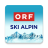 icon SkiAlpin 4.1