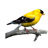 icon Bird Sounds,Calls And Ringtones 1.2