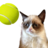icon Tennis Cat 1.0.6