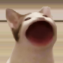 icon POPCAT