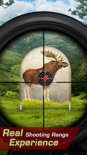 Moose Target Shooting