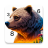 icon Wild Color 1.0.4