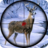 icon Animal Hunting 2019 1.27