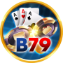 icon B79