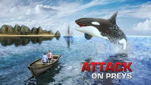 Killer Whale Attack Simulator