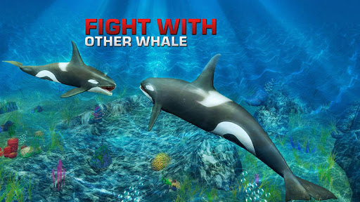 Killer Whale Attack Simulator