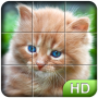 icon Tile Puzzle: Cute Kittens