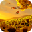 icon Sunflowers HD 7.0