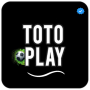 icon Toto Play Diy