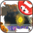 icon Juego Redball 2.1