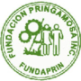 icon Fundacion Pringamosa