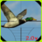 icon Duck Hunter 2016 v2.0 2.0