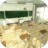icon jp.noga.apps.escape.classroom 1.0.0