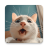icon Meowing cat sounds 95.0