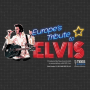 icon Europe's Tribute To Elvis 2017 for Samsung Galaxy J2 DTV