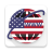 icon USA Browser 1.0.1