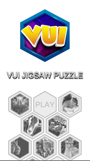 VUI Jigsaw Puzzle Mobi 2020