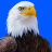 icon Animal Ringtones 1.1.9