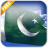 icon Pakistan Flag 3.1.5