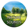 icon Nature Sounds for Samsung Galaxy J2 DTV